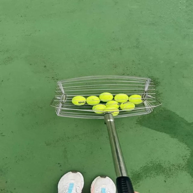 转会市场趋势观察：数据视角全面解析